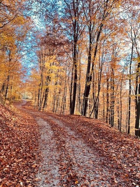 Holiday Home Maderka Strigova エクステリア 写真