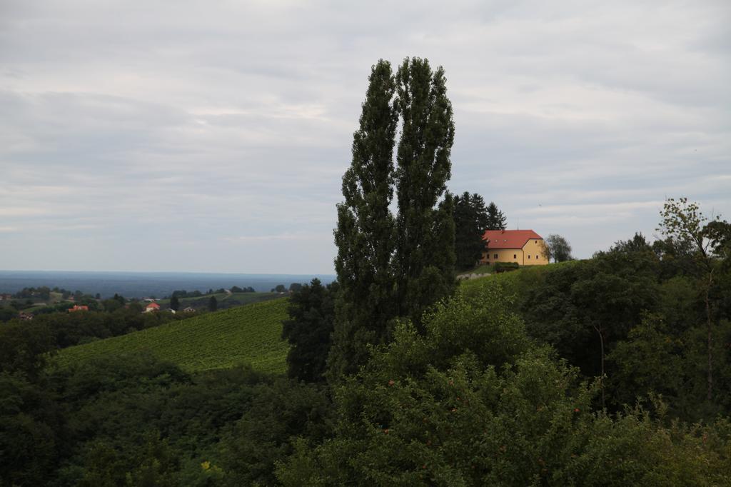 Holiday Home Maderka Strigova エクステリア 写真