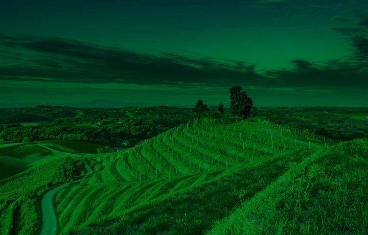 Holiday Home Maderka Strigova エクステリア 写真