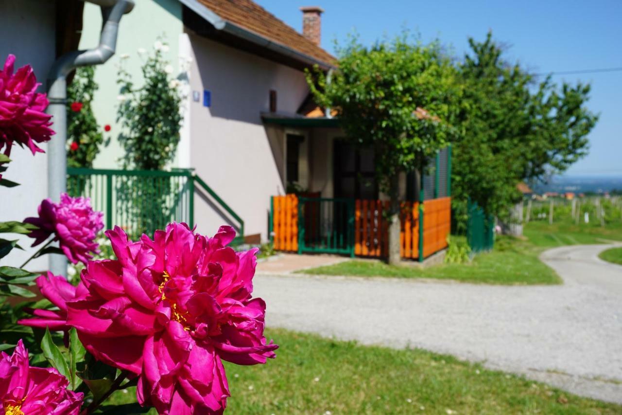 Holiday Home Maderka Strigova エクステリア 写真