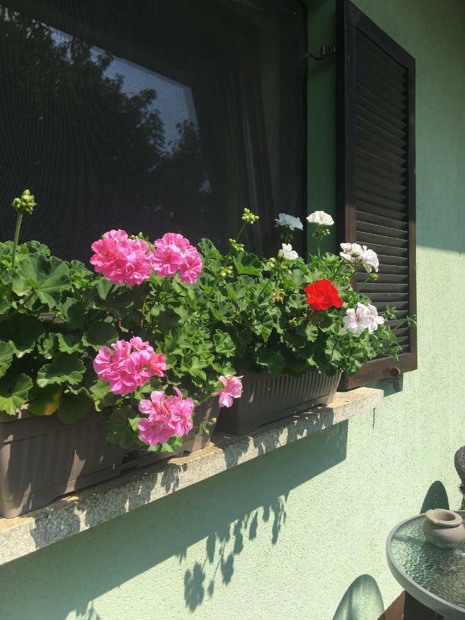 Holiday Home Maderka Strigova エクステリア 写真